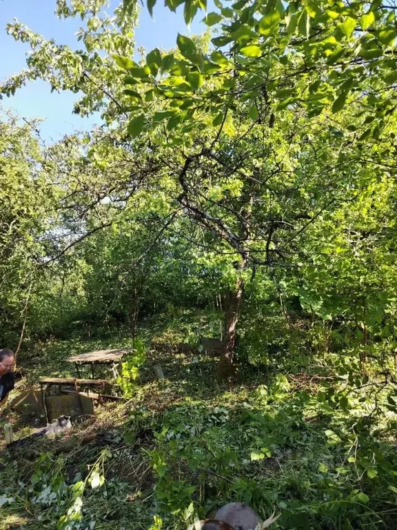 Участок в Нижегородская область, Нижний Новгород Яблоко СНТ,  (5.2 ... - Фото 1