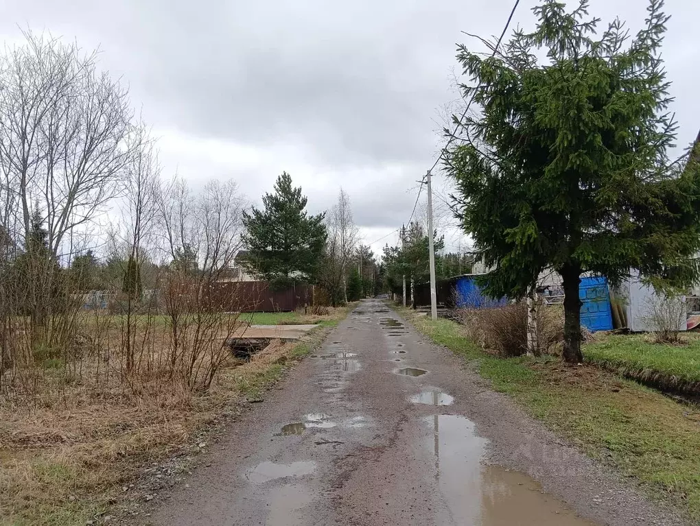 Участок в Ленинградская область, Всеволожский район, Лесколовское ... - Фото 0