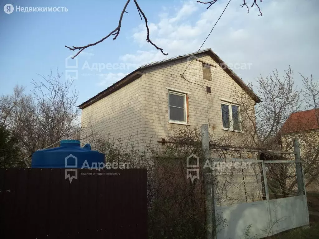Ивушка волгоград. СНТ Березка Волгоград. Садовое товарищество. Волгоградская область фото.