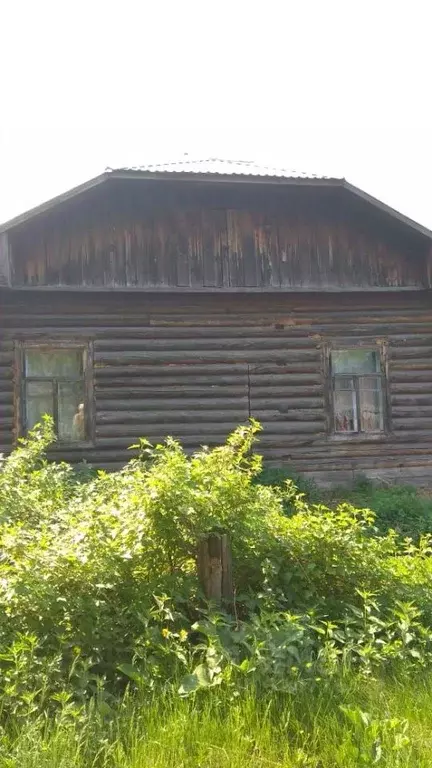 Помещение свободного назначения в Томская область, Колпашево ул. ... - Фото 1