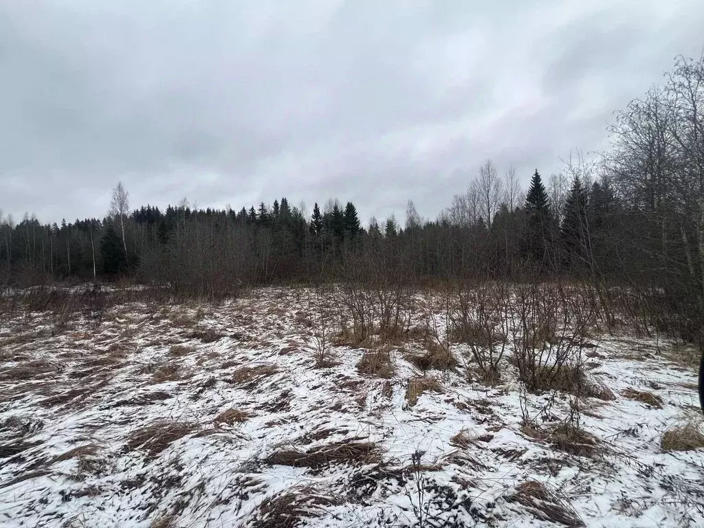 Участок в Карелия, Лахденпохья Полевая ул. (14.0 сот.) - Фото 2