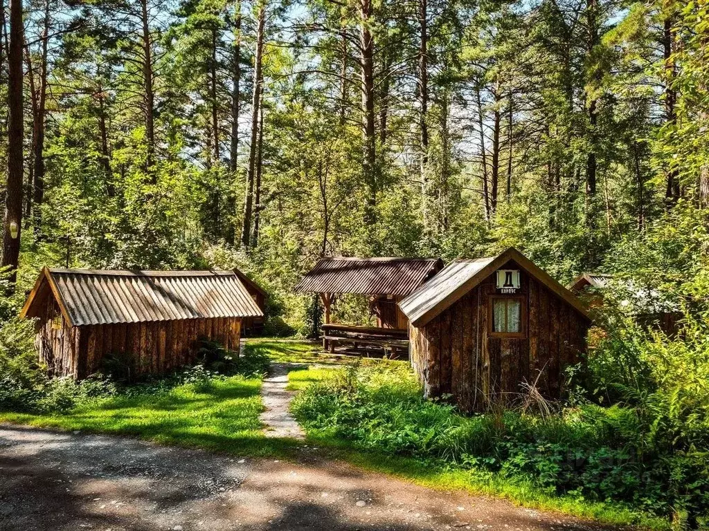 Дом в Алтай, Майминский район Р-256 Чуйский тракт, 477-й км (9 м) - Фото 1