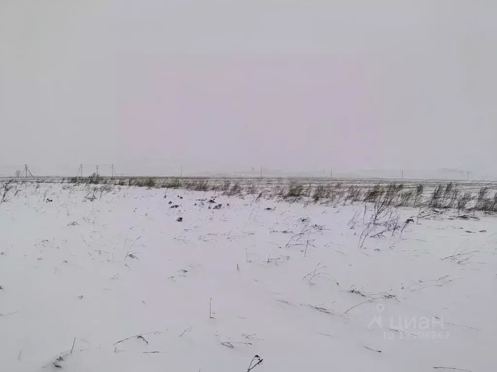 Участок в Кемеровская область, Новокузнецкий муниципальный округ, д. ... - Фото 0