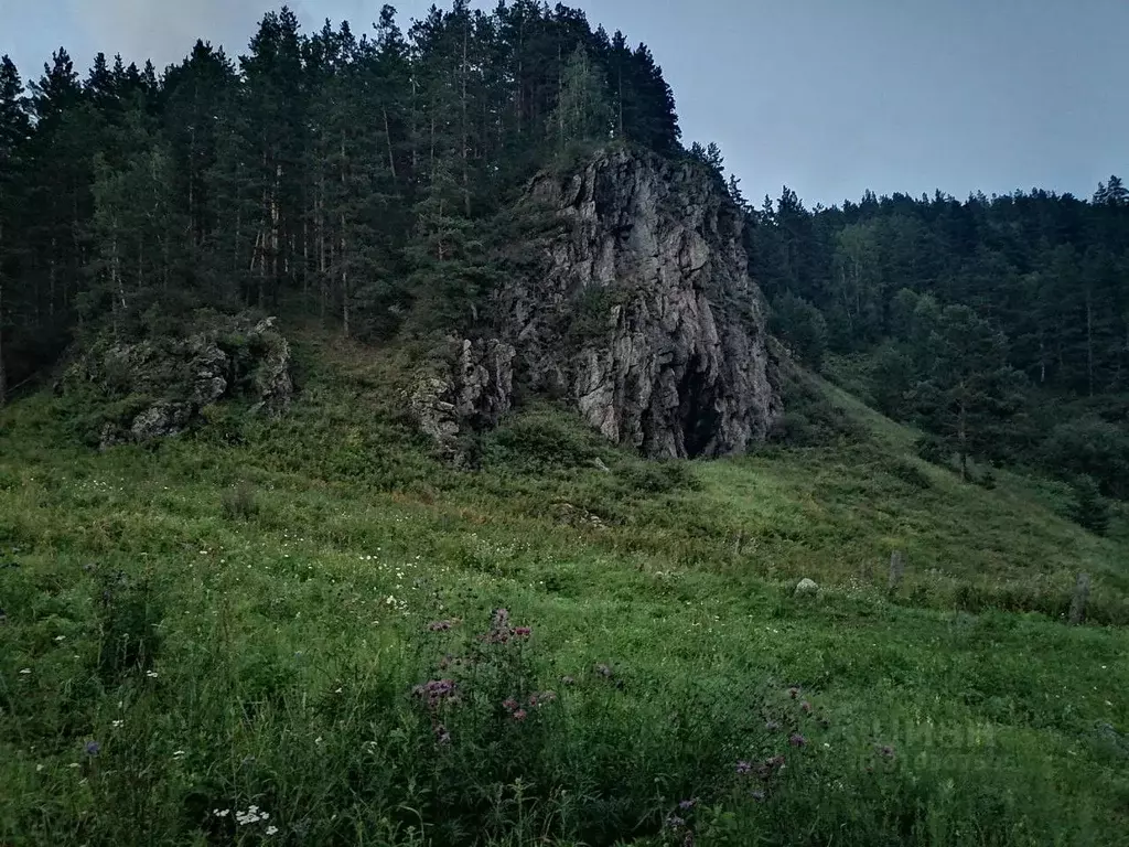 Участок в Алтай, Майминский район, с. Усть-Муны ул. Кошурникова (15.0 ... - Фото 0