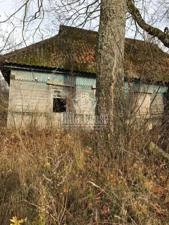 Участок в Калужская область, Сухиничский муниципальный округ, Шлиппово ... - Фото 2