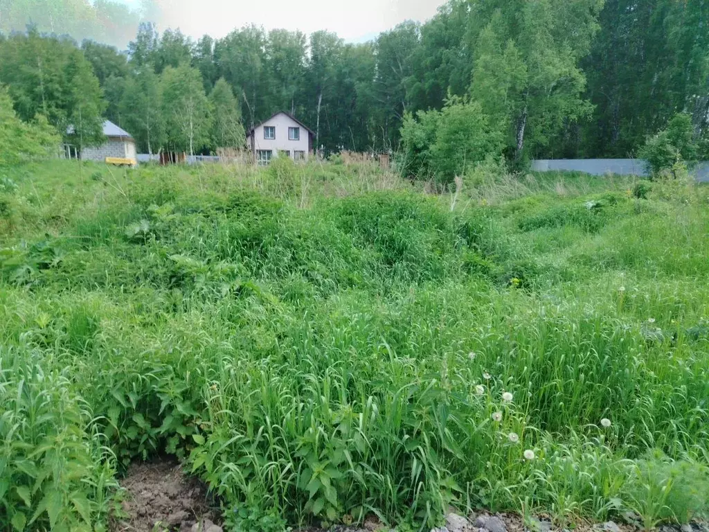 Участок 5 сот. (СНТ, ДНП) - Фото 0