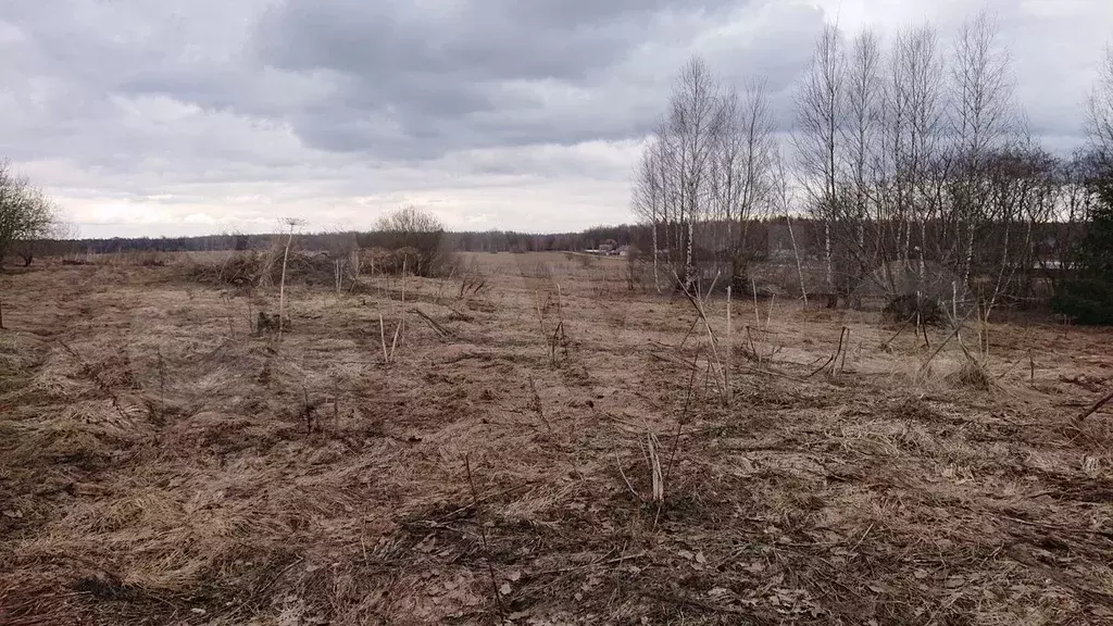 Участок 15 сот. (ИЖС) - Фото 0