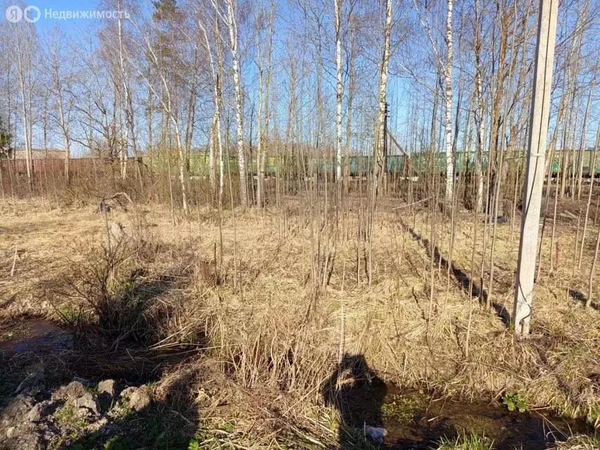 Участок в Гатчина, садоводческое некоммерческое товарищество Луч (13 ... - Фото 2