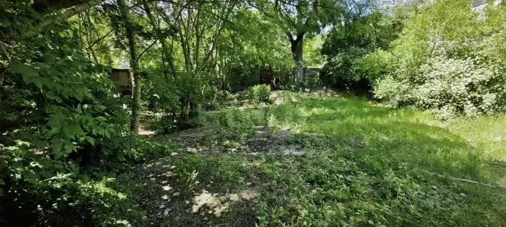 Участок в Краснодарский край, Новороссийск городской округ, с. ... - Фото 2