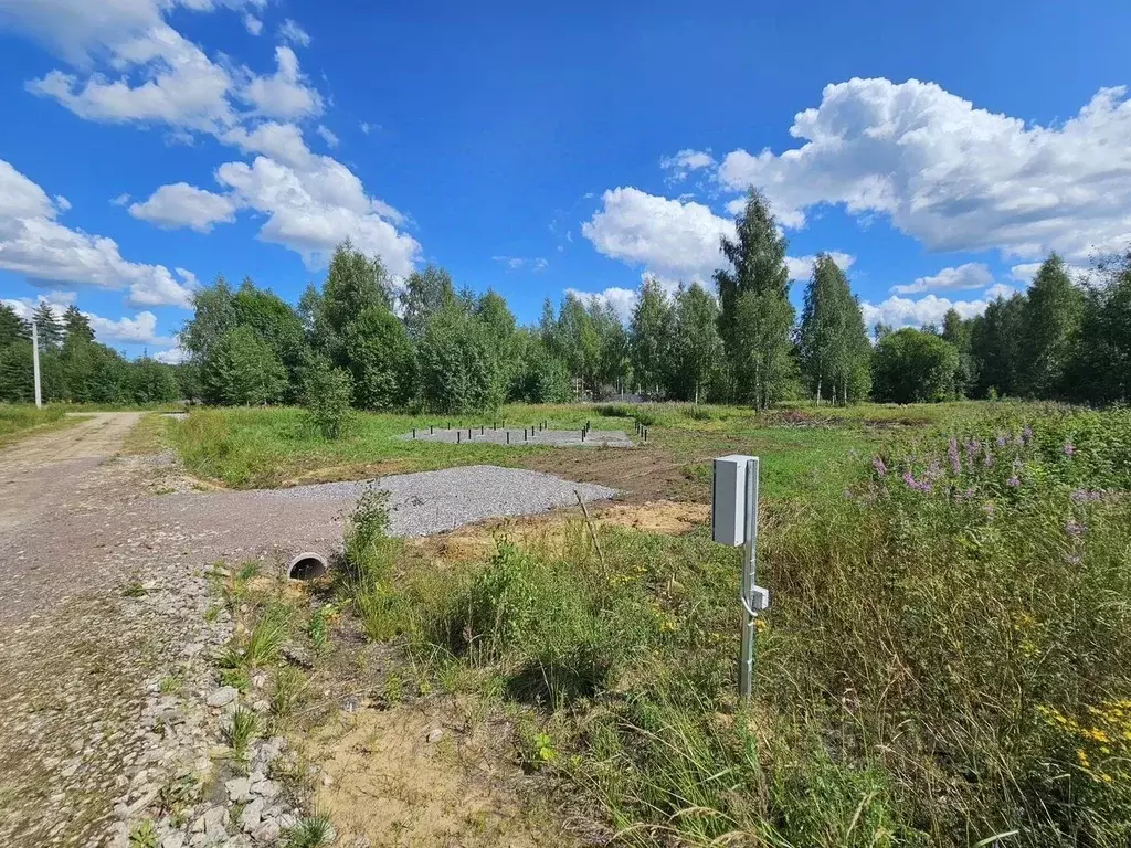 Участок в Ленинградская область, Тосненский район, Любанское городское ... - Фото 0
