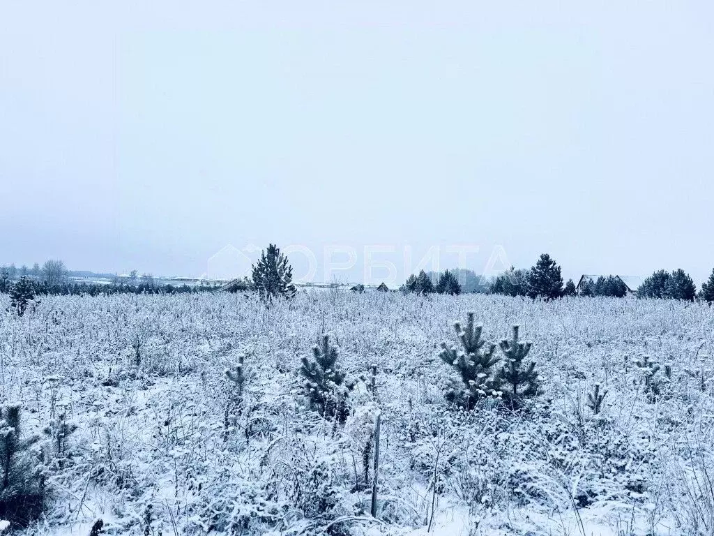 Участок в Тюменская область, Тюменский муниципальный округ, ... - Фото 0