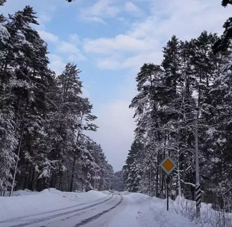 Участок в Ленинградская область, Приозерский район, Раздольевское ... - Фото 0