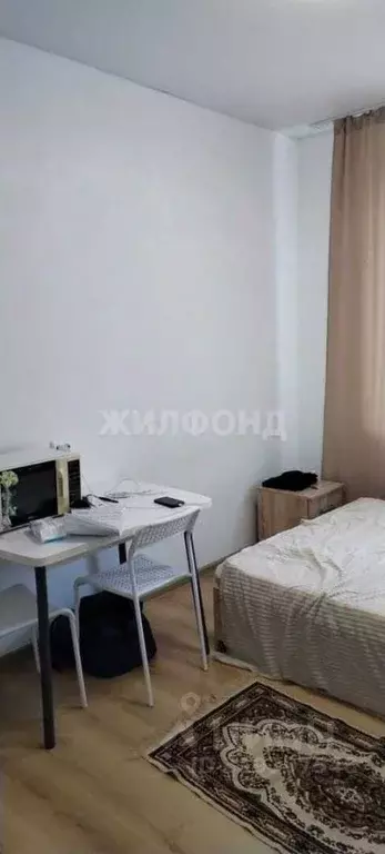Студия Новосибирская область, Новосибирск Северный мкр, ул. ... - Фото 1