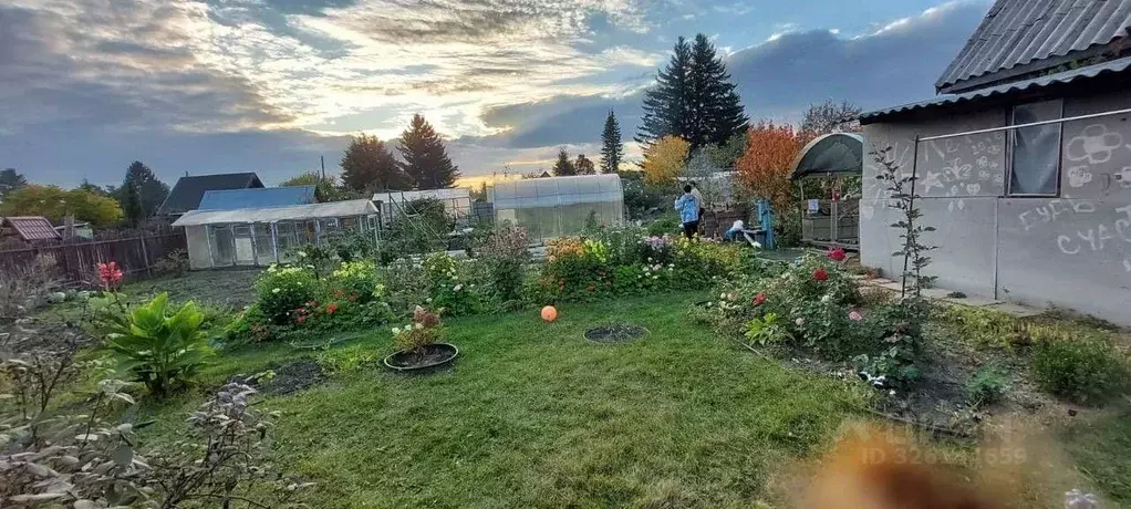 Участок в Новосибирская область, Новосибирский район, Толмачевский ... - Фото 1