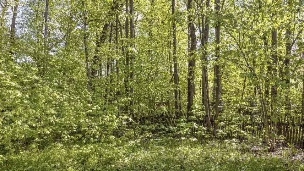 Участок в Московская область, Одинцовский городской округ, д. ... - Фото 1