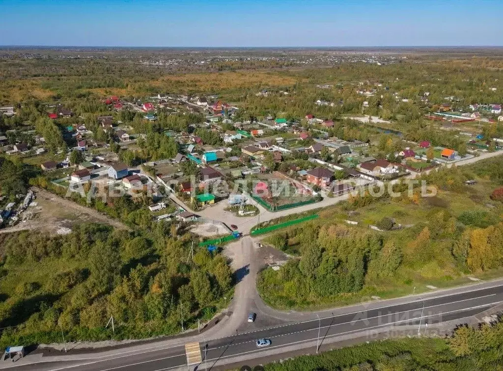 Участок в Тюменская область, Тюмень Березка СНТ, ул. 2-я Садовая (5.5 ... - Фото 0