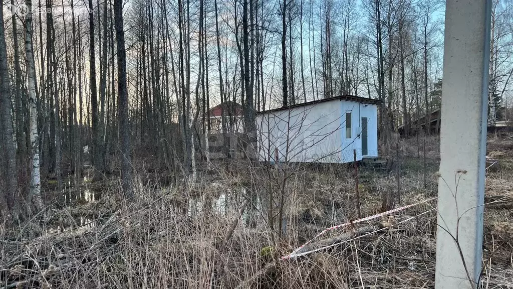 Участок в посёлок Лисий Нос, территория Раздельная (12 м) - Фото 2