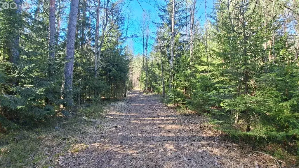 Участок в Выборгский район, Полянское сельское поселение, посёлок при ... - Фото 1