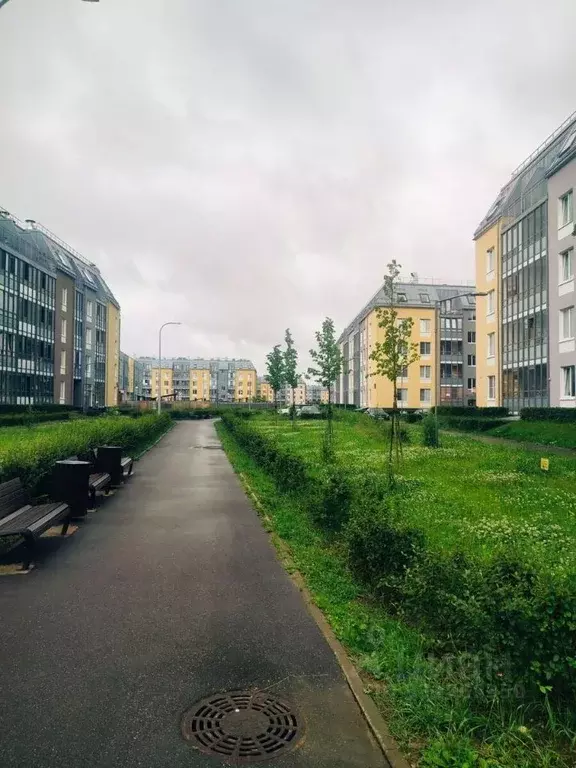 Студия Санкт-Петербург ул. Меридианная, 4 (23.6 м) - Фото 1
