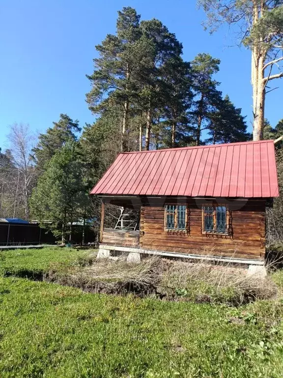 Участок 11,6 сот. (СНТ, ДНП) - Фото 0