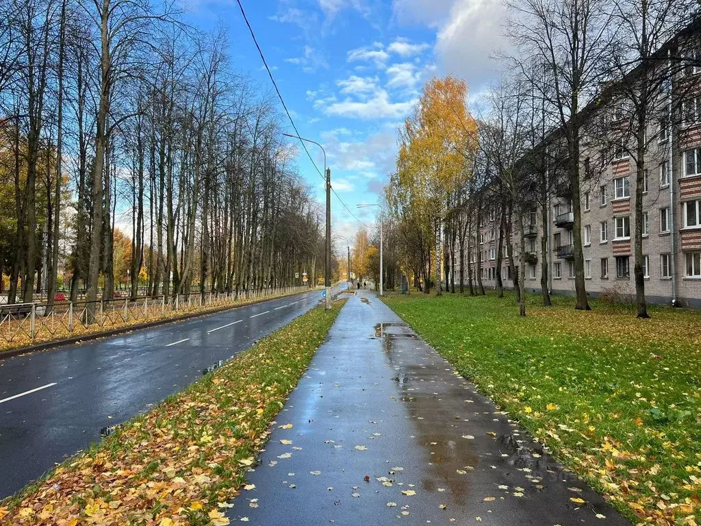 1-к кв. Санкт-Петербург пос. Металлострой, Центральная ул., 19 (28.0 ... - Фото 1