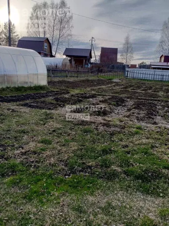 Участок в Томская область, Томский район, Богашевское с/пос, Ветеран ... - Фото 2