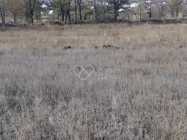 Участок в Волгоградская область, Городище рп, Есенино кп ул. Булгакова ... - Фото 0