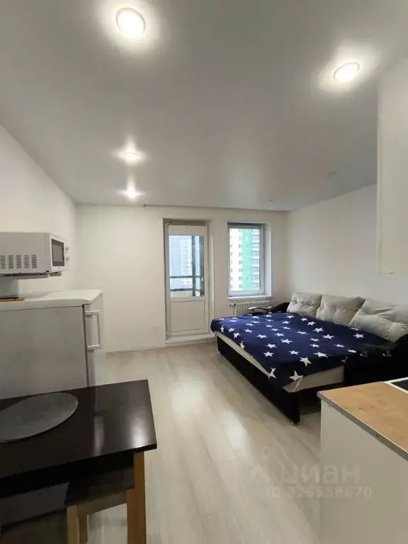 Студия Ленинградская область, Ломоносовский район, Виллозское ... - Фото 1