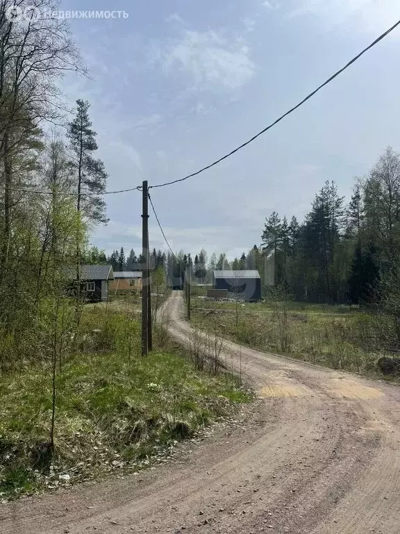 Участок в Приозерский район, Красноозёрное сельское поселение, деревня ... - Фото 1