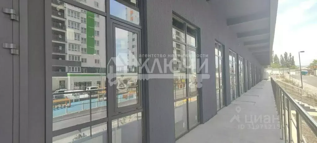 Помещение свободного назначения в Краснодарский край, Новороссийск ул. ... - Фото 0
