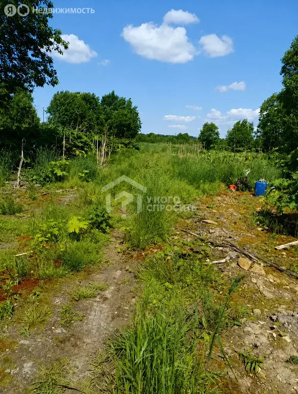 Участок в деревня Большая Вруда, 3 (50 м) - Фото 1