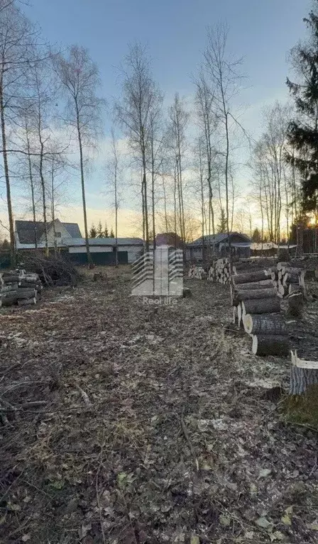 Участок в Московская область, Домодедово городской округ, д. ... - Фото 2