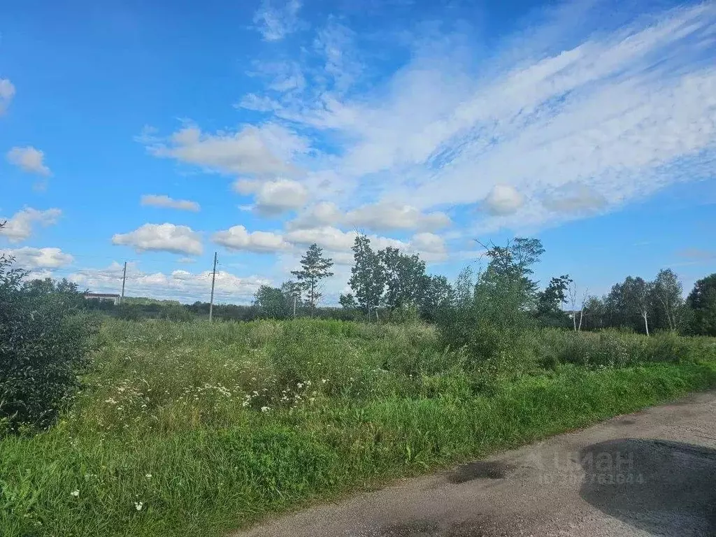 Участок в Хабаровский край, Хабаровский район, с. Некрасовка  (9.0 ... - Фото 2