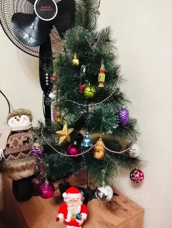 Студия Ленинградская область, Мурино Всеволожский район, просп. ... - Фото 1