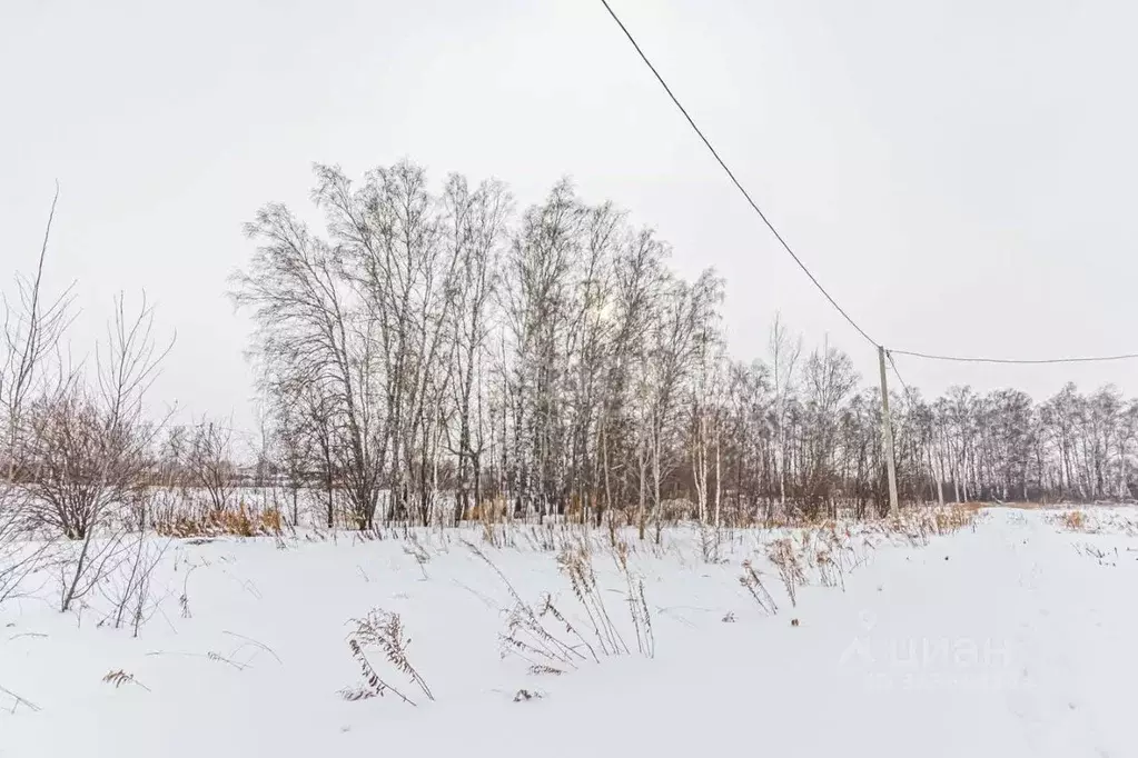 Участок в Новосибирская область, Бердск проезд Центральный (10.0 сот.) - Фото 1