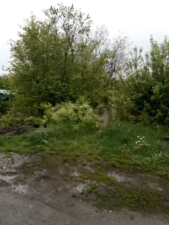 Участок в Белгород, садоводческое товарищество Фазенда (10 м) - Фото 0