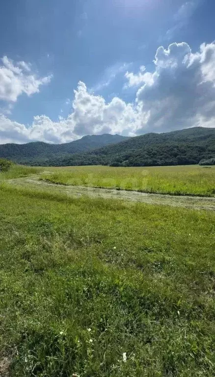 Участок в Адыгея, Майкопский район, Даховская ст-ца  (249.97 сот.) - Фото 0