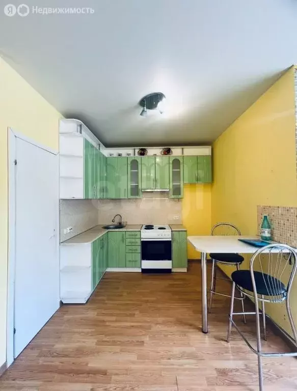 1-комнатная квартира: село Заозерье, Новоручейная улица, 4 (30 м) - Фото 1