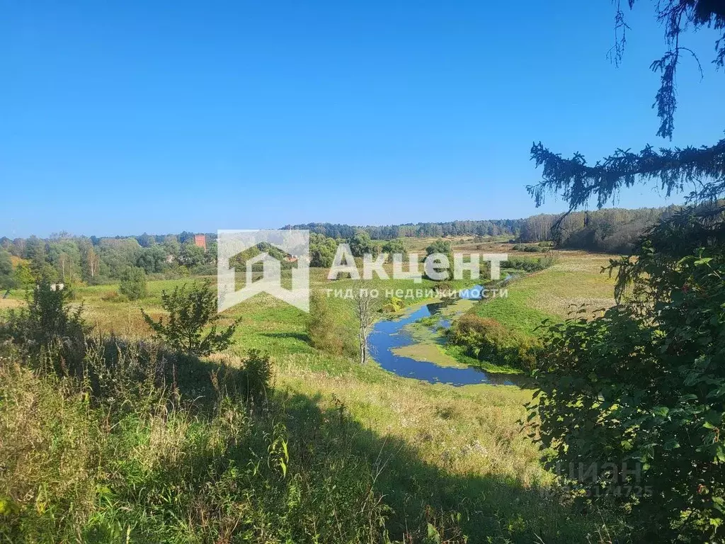 Дом в Ивановская область, Родниковский район, с. Каминский ... - Фото 0
