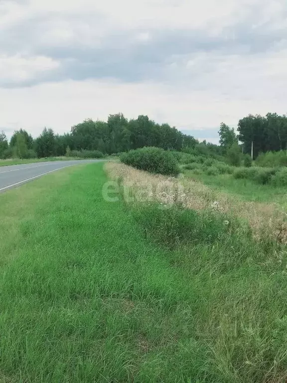 Участок в Омская область, Омское с/пос, д. Березянка ул. Лесная (10.0 ... - Фото 1