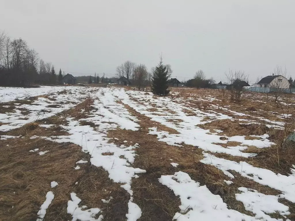 Участок в Ленинградская область, Волосовский район, Большеврудское ... - Фото 1