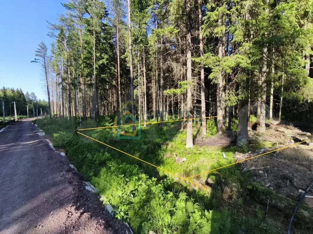 Участок 6,2 сот. (СНТ, ДНП) - Фото 1