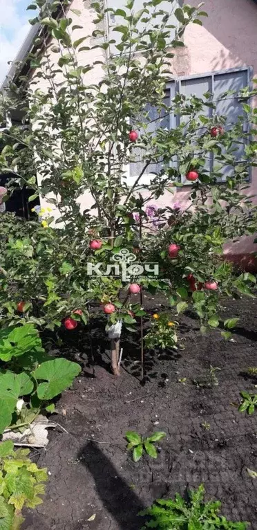 Участок в Башкортостан, Стерлитамакский район, Октябрьский сельсовет, ... - Фото 1