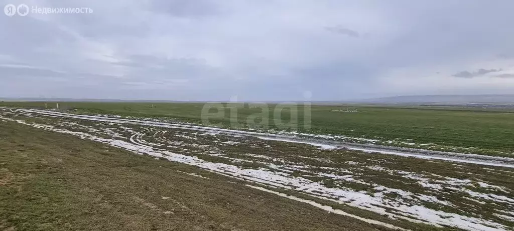 Участок в Владиславовка, Виноградная улица (303.12 м) - Фото 1