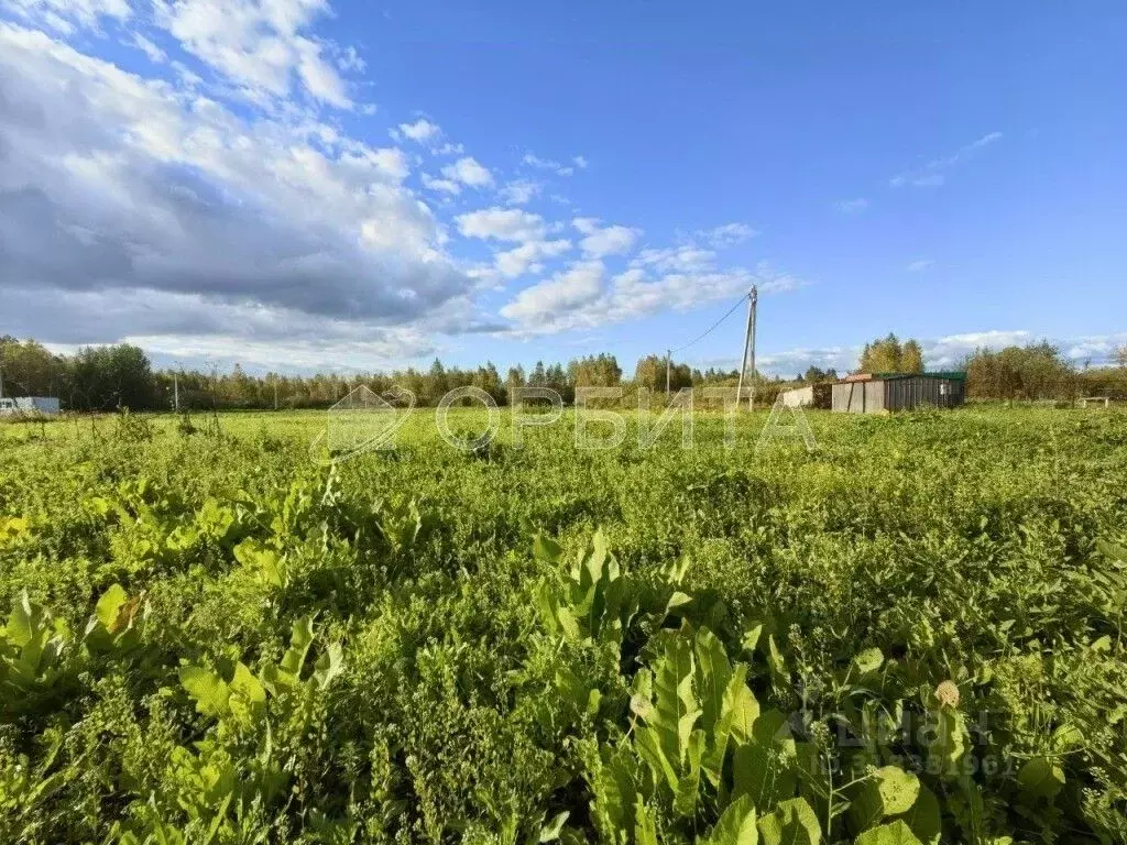 Участок в Тюменская область, Нижнетавдинский район, д. Веселая Грива ... - Фото 1