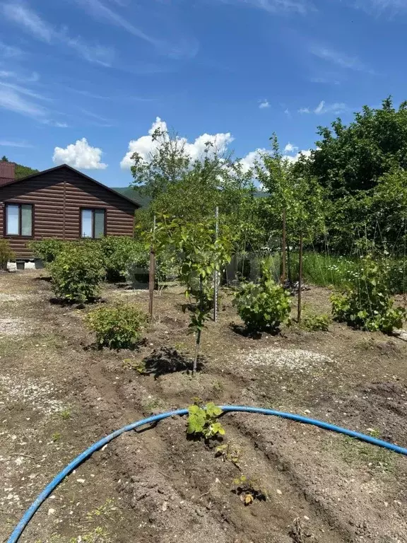Дом в Краснодарский край, Геленджик городской округ, с. Прасковеевка ... - Фото 1