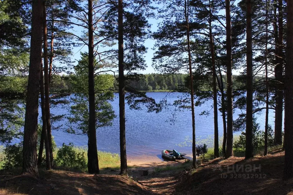 Участок в Псковская область, Гдовский муниципальный округ, д. Озера  ... - Фото 2