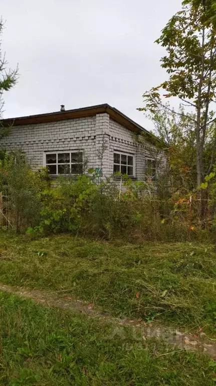 Дом в Нижегородская область, Богородский муниципальный округ, Шелухово ... - Фото 2