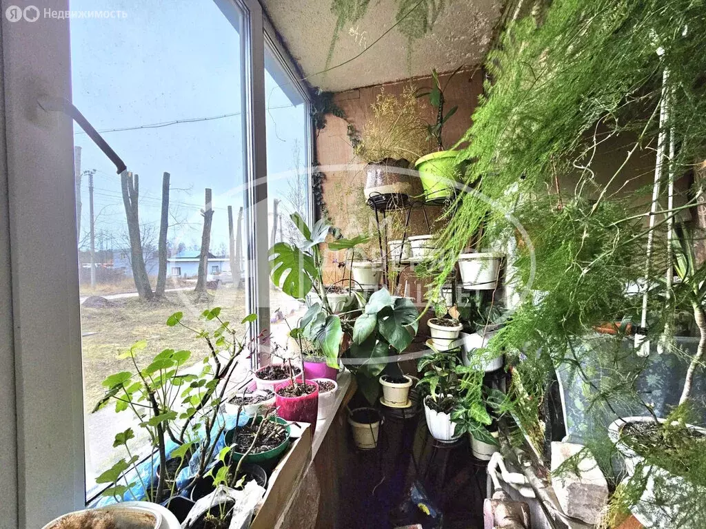 1-комнатная квартира: Новый, Построечная улица, 11 (29.6 м) - Фото 1