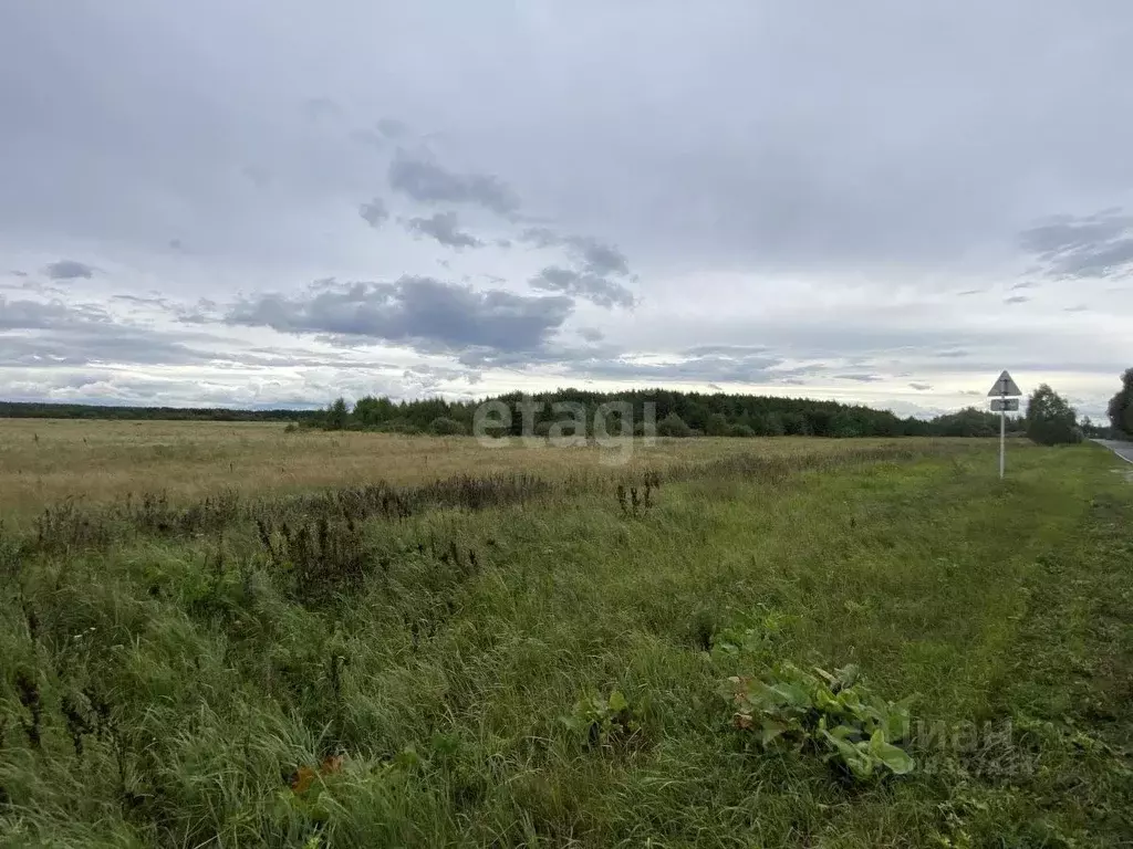 Участок в Владимирская область, Муром д. Макаровка, ул. Центральная ... - Фото 0